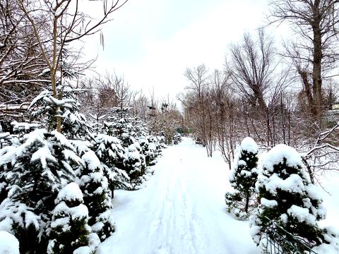 будинок за адресою Старокиївська вул.