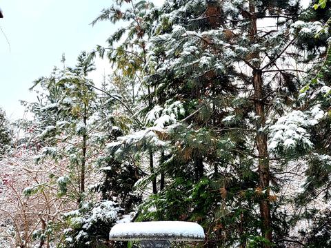 будинок за адресою Старокиївська вул.