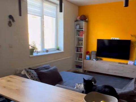 квартира за адресою Зелена вул., 1