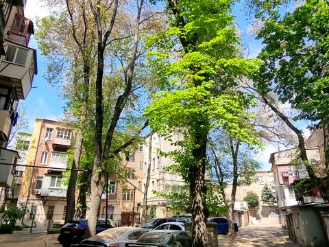 квартира по адресу Старопортофранковская ул., 117