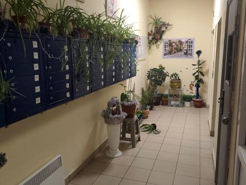 квартира за адресою Пантелеймонівська вул., 88/1