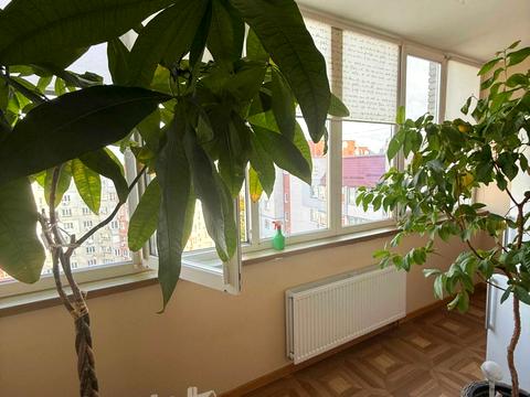 квартира по адресу Грушевського ул., 21