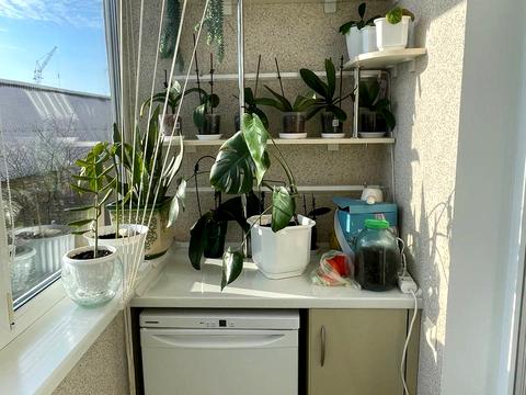 квартира за адресою Юрія Чабаха вул., 11