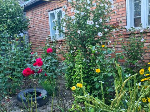 будинок за адресою Вишнева, 1