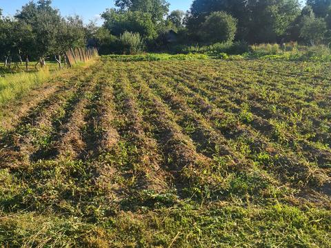 будинок за адресою Вишнева, 1