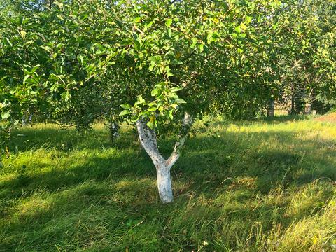 будинок за адресою Вишнева, 1