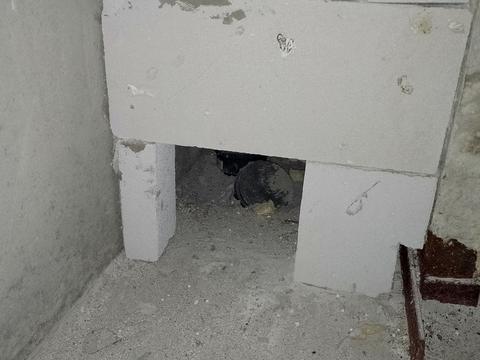 квартира за адресою Прохоровська вул., 40 к1-4