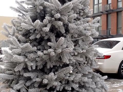 квартира за адресою Прохоровська вул., 40 к1-4