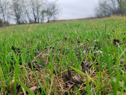 ділянка за адресою Гагаріна