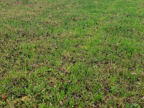 ділянка за адресою Гагаріна