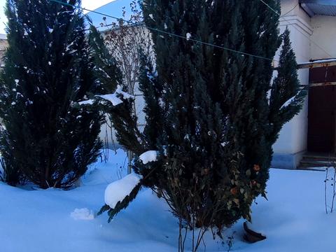 дом по адресу Ярослава Пстрака ул., 13