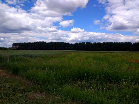 ділянка за адресою Чорнобильська, 25