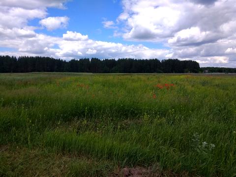 ділянка за адресою Чорнобильська, 25