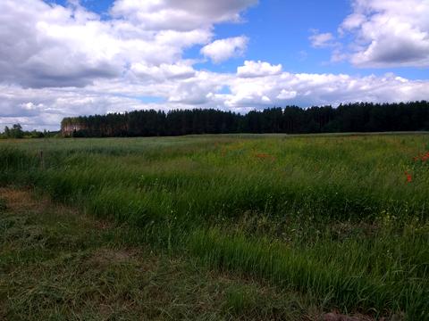 ділянка за адресою Чорнобильська, 25