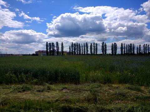 ділянка за адресою Чорнобильська, 25