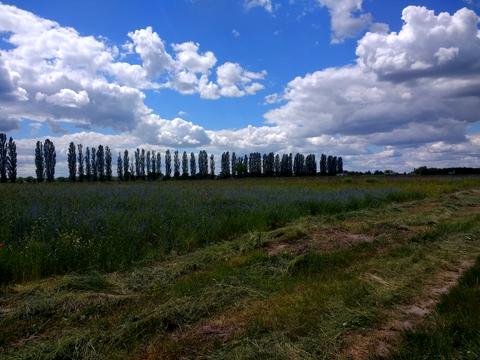 ділянка за адресою Чорнобильська, 25