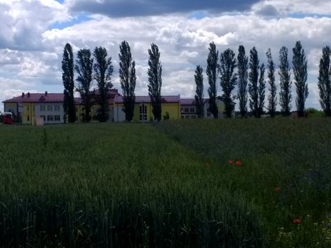 ділянка за адресою Чорнобильська, 25