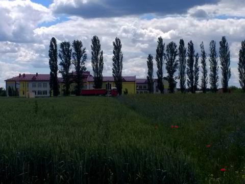 ділянка за адресою Чорнобильська, 25