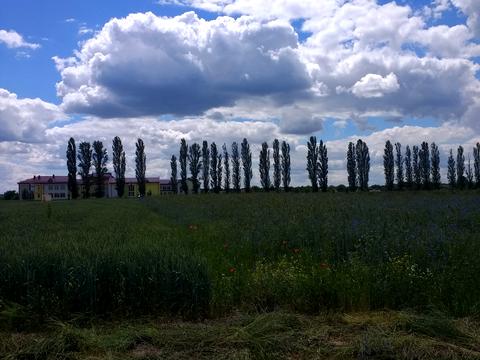 ділянка за адресою Чорнобильська, 25