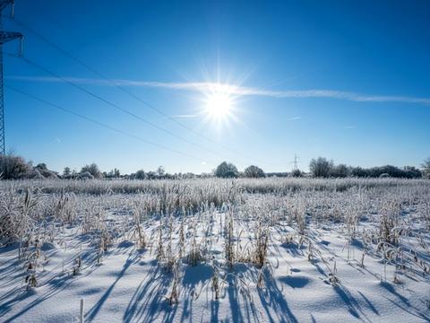 ділянка за адресою Ірпінь, 