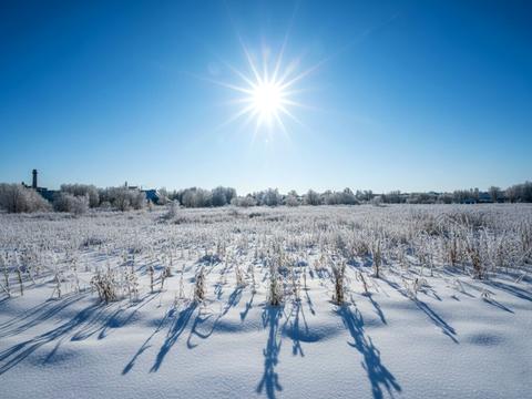 ділянка за адресою Ірпінь, 