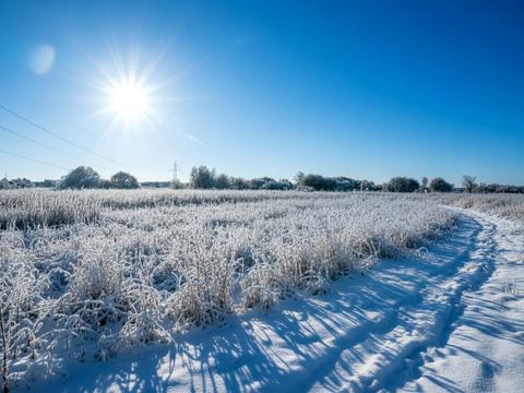 ділянка за адресою Ірпінь, 