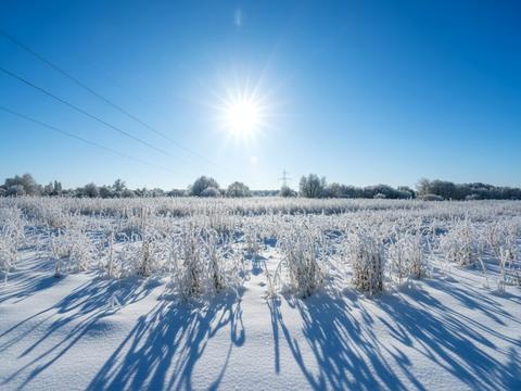 ділянка за адресою Ірпінь, 