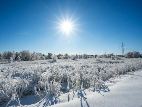 ділянка за адресою Ірпінь, 