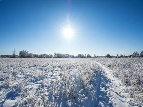 ділянка за адресою Ірпінь, 