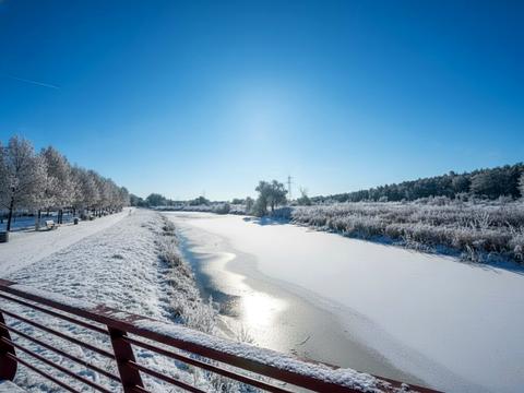 ділянка за адресою Ірпінь, 