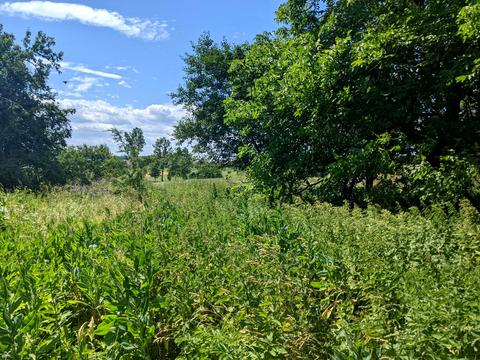 будинок за адресою Осередок вул.