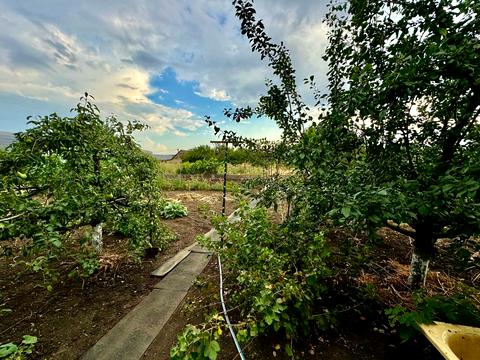 будинок за адресою центральная