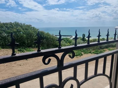 квартира по адресу Дача Ковалевского ул., 91