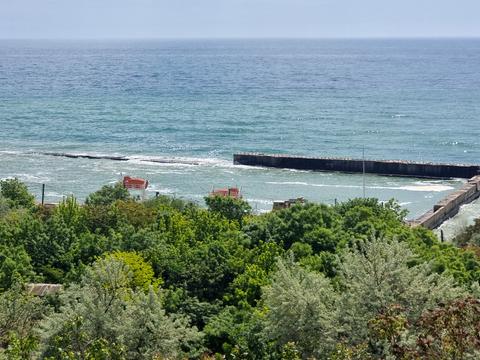 квартира по адресу Дача Ковалевского ул., 91