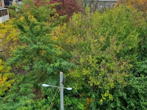 квартира за адресою Шевченка просп., 17в