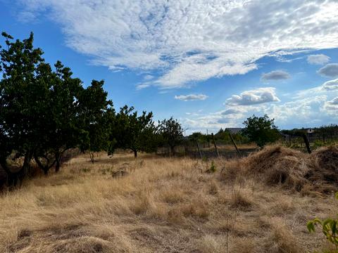 будинок за адресою с. Бурдівка, Центральна