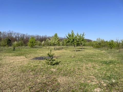 участок по адресу 