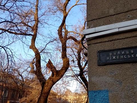 квартира за адресою Ніжинська вул., 60