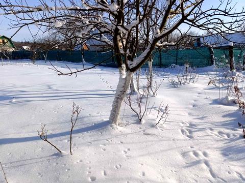 будинок за адресою Волошина