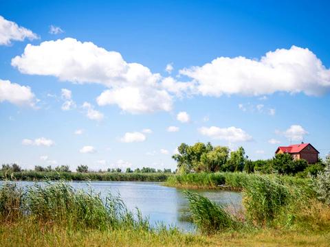 участок по адресу с. Новоселовка, 