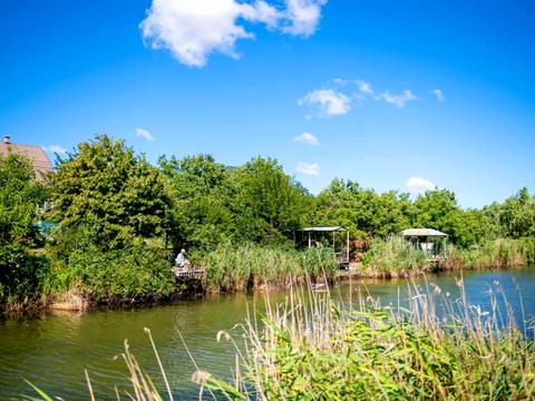 участок по адресу с. Новоселовка, 