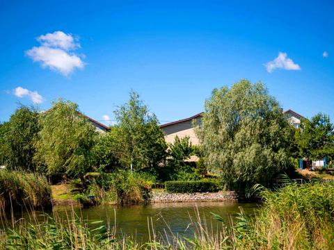 участок по адресу с. Новоселовка, 