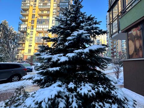 квартира за адресою Анатолія Петрицького вул., 19