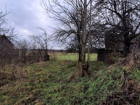 ділянка за адресою с. Шибене, Кооперативна вул.