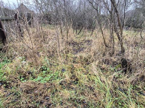 ділянка за адресою с. Шибене, Кооперативна вул.