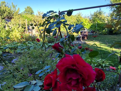 будинок за адресою Бузкова