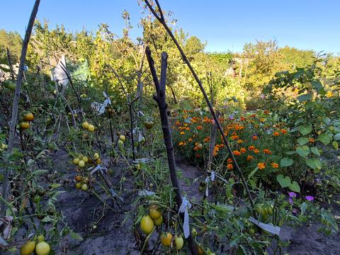 будинок за адресою Бузкова