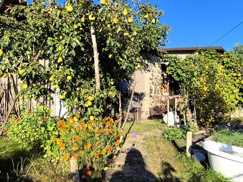 будинок за адресою Бузкова