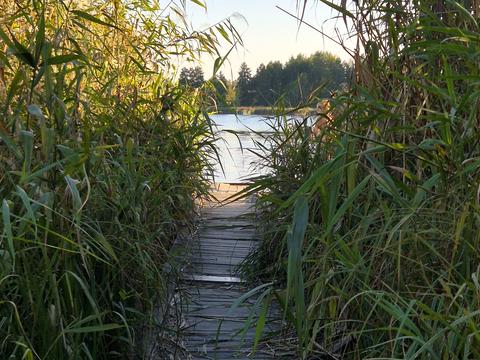 будинок за адресою Бузкова