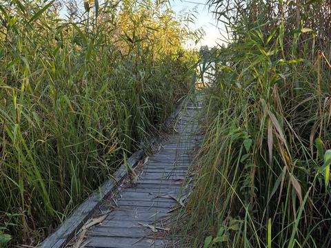 будинок за адресою Бузкова